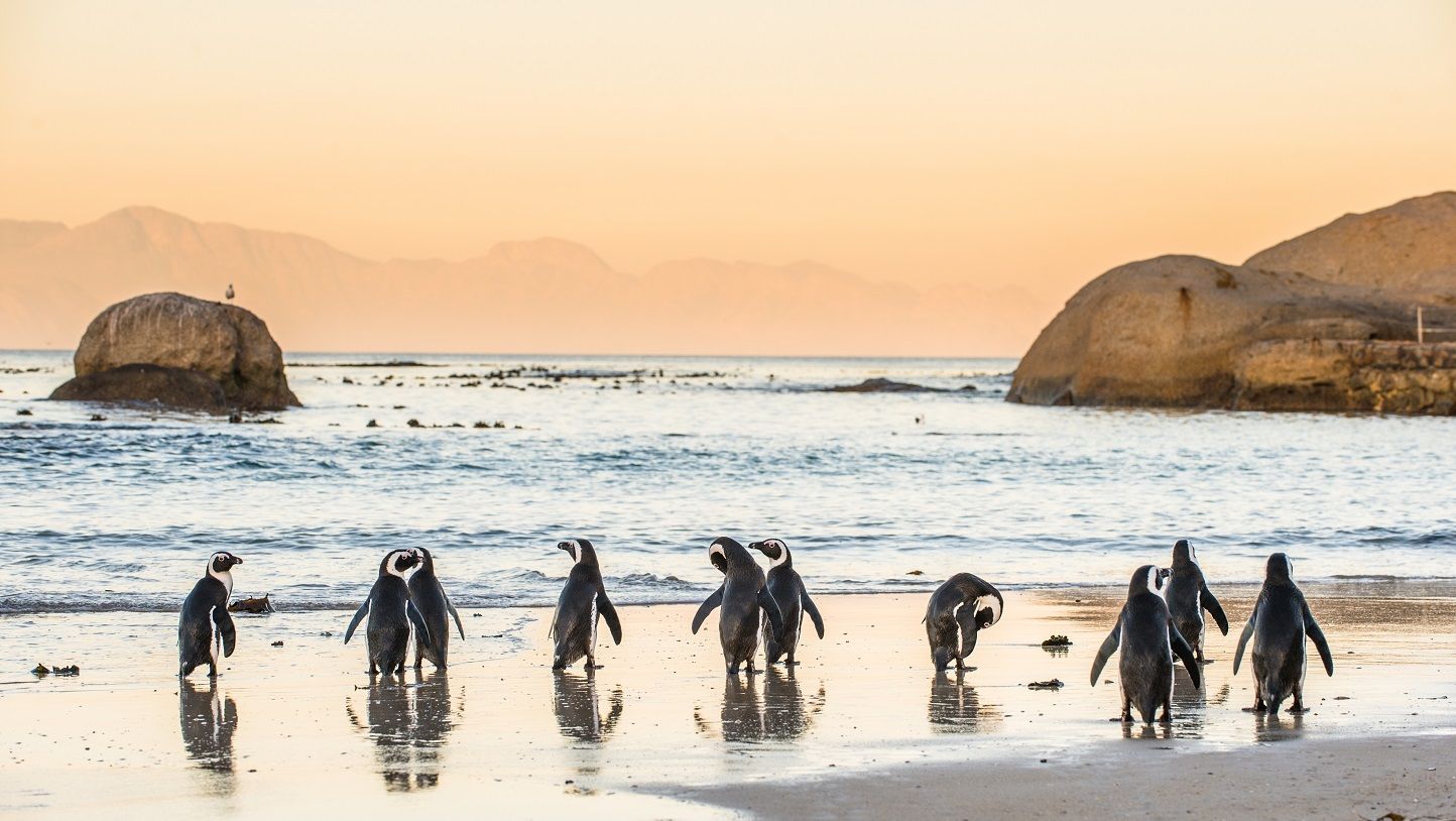 Holiday in Southern Africa by Lightfoot Travel