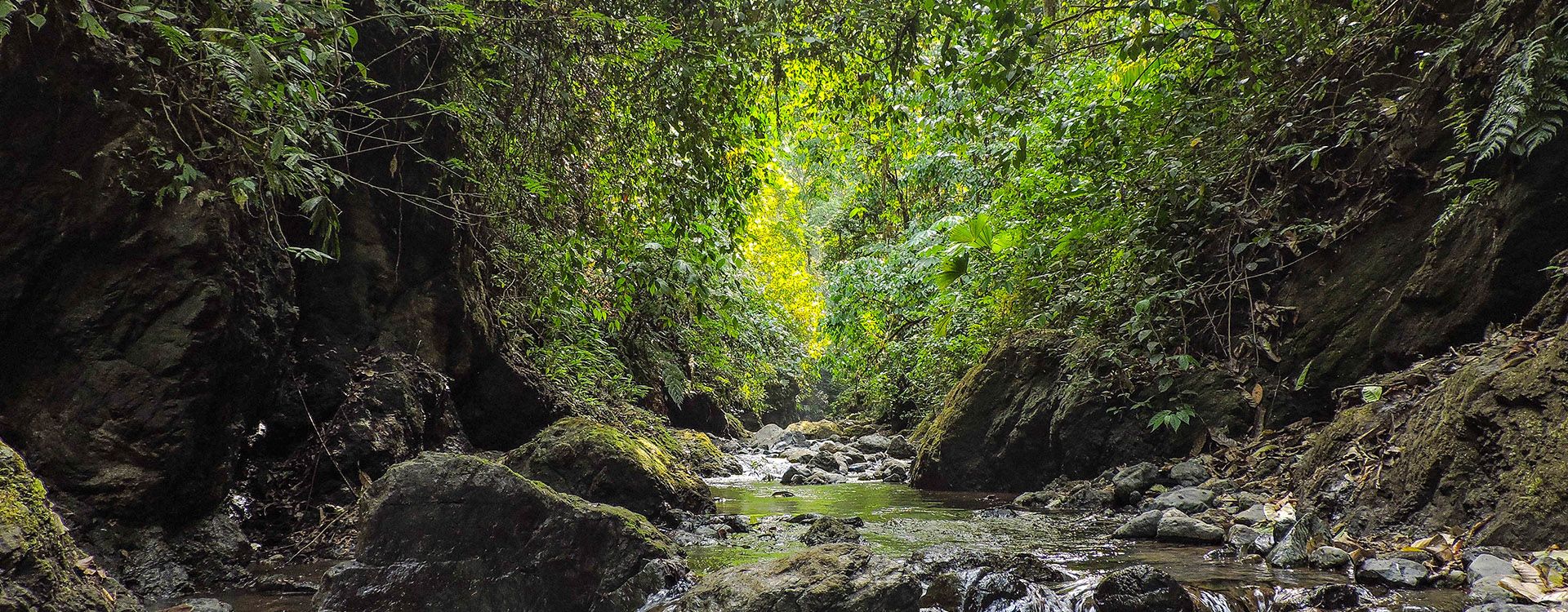 Corcovado National Park