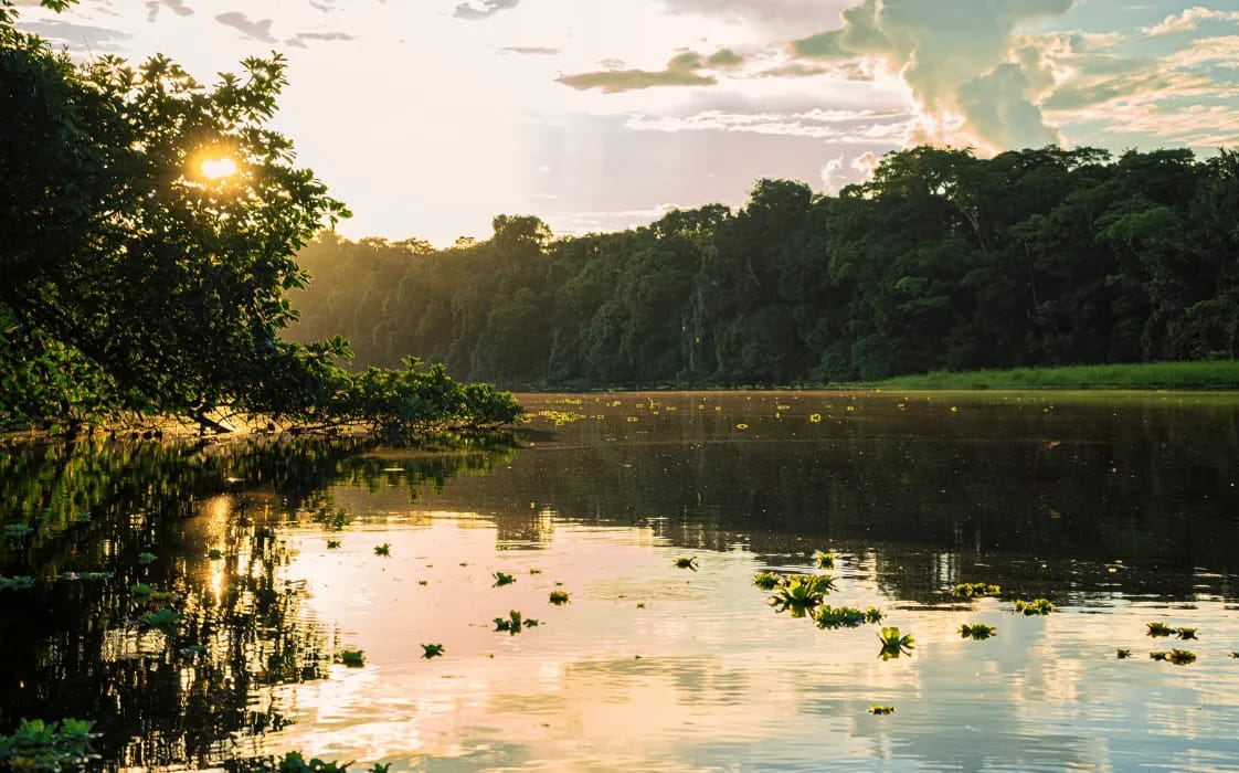 golden hour in the Ecuador amazon