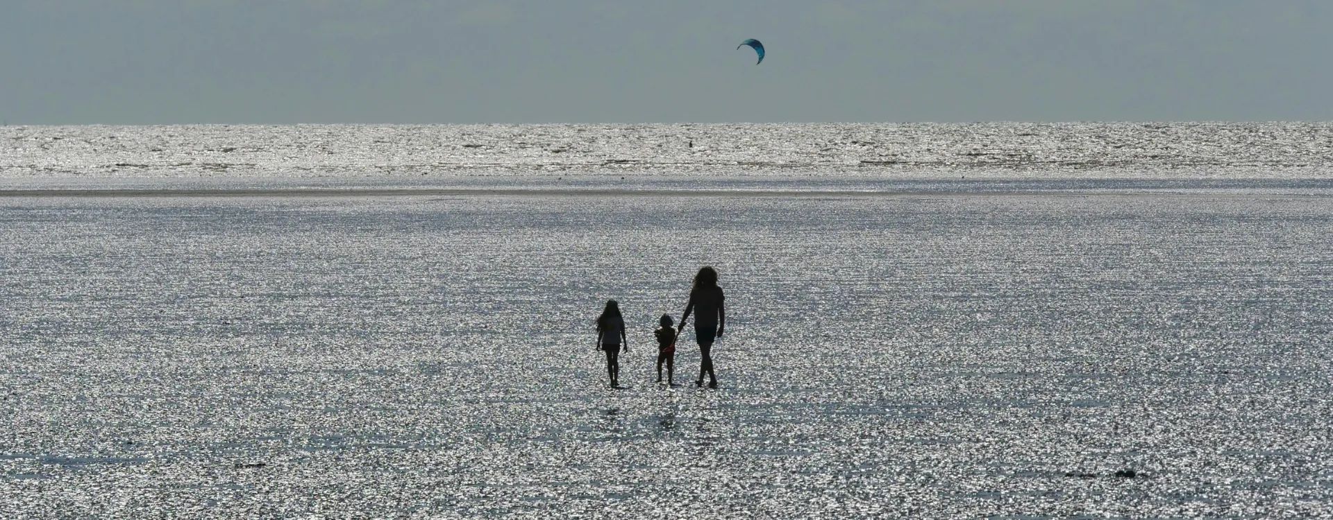 Family walking across a glistening beach at low tide