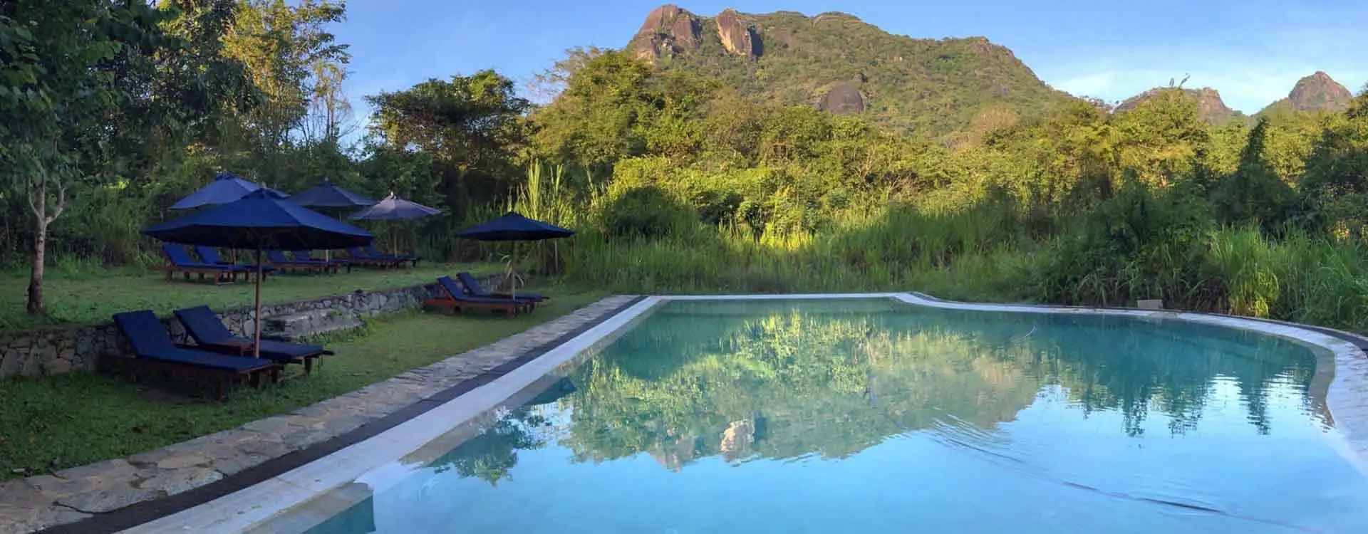 The view from the pool at Gal Oya Lodge, Sri Lanka