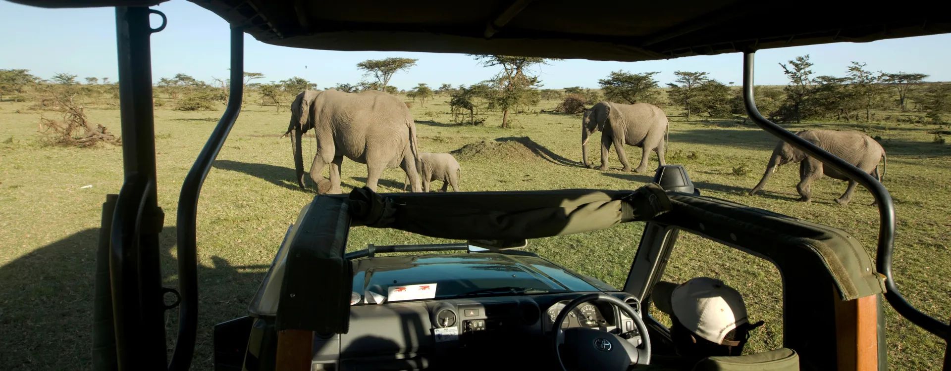 Heard of Elephants in Botwana