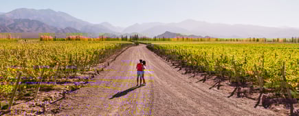 Honeymooners in Mendoza, Argentina