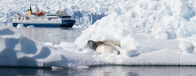 Wildlife explorers by Ocean Nova, The Antarctica