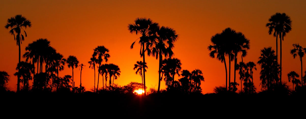Kalahari Desert Sunset