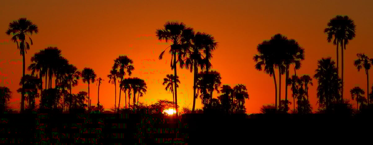 Kalahari Desert Sunset