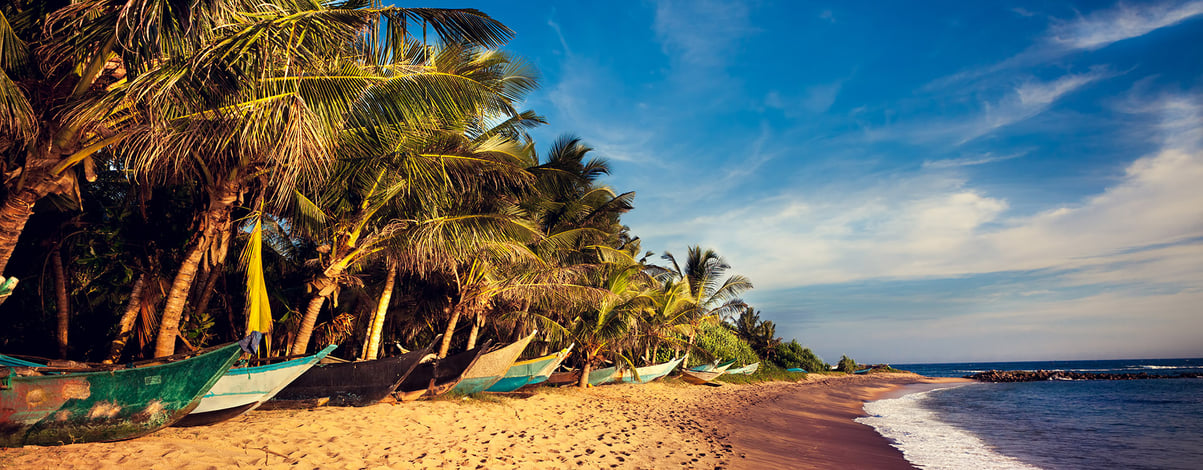 Boats on a Tropical Beach, Mirissa, South Sri Lanka