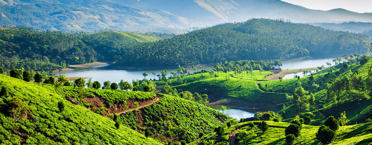 Tea plantations and Muthirappuzhayar River in hills near Munnar, Kerala, India