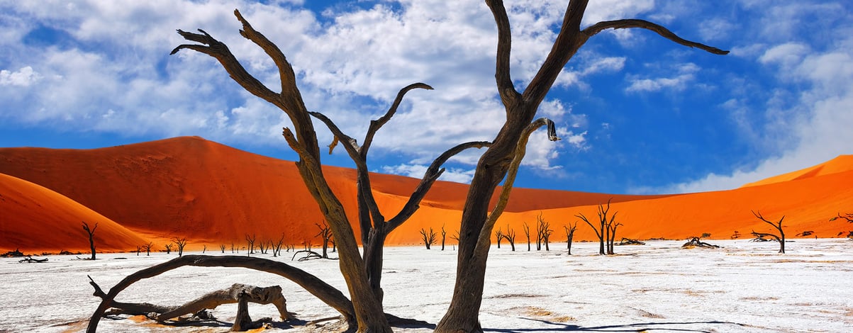 Namib-Naukluft National Park, Namibia, Africa