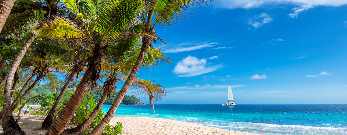 Sailing boat in the turquoise sea and exotic sandy beach with palm trees on Jamaica paradise island