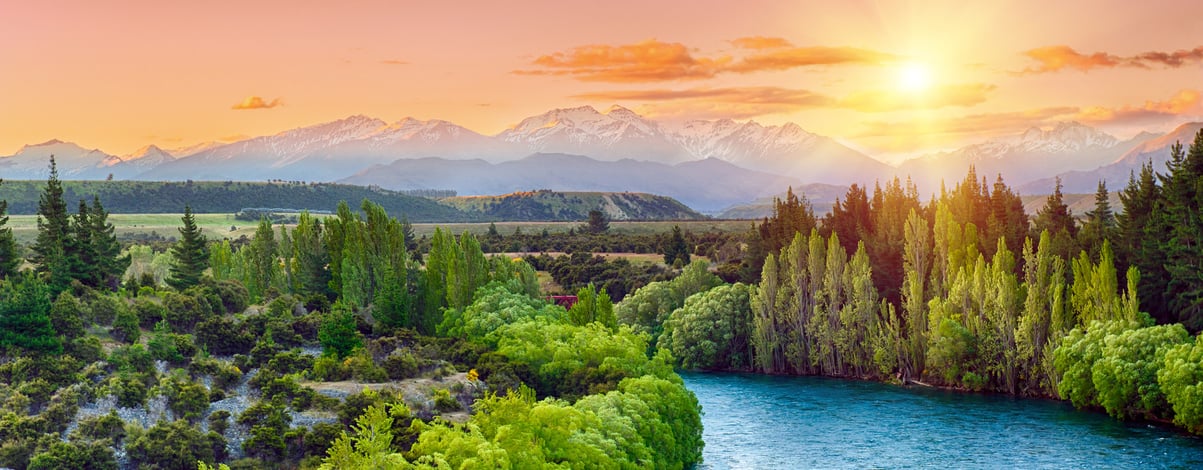 New Zealand landscape, Banks Peninsula, singular sheep