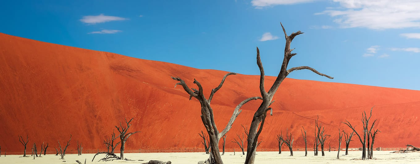 Dead camel thorn trees and the red dunes of Deadvlei near the famous salt pan of Sossusvlei.