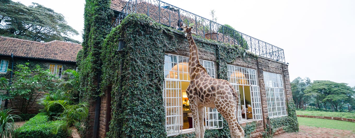 Giraffe Manor at Nairobi Kenya