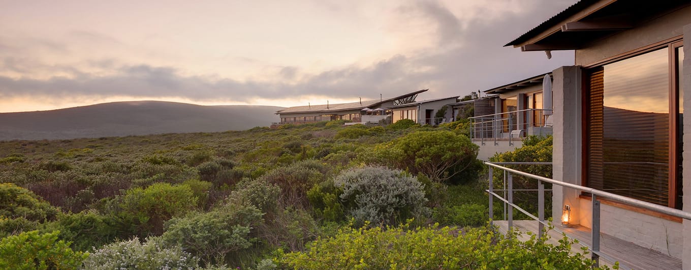 Grootbos Forest Lodge_Aerial View_Balconies