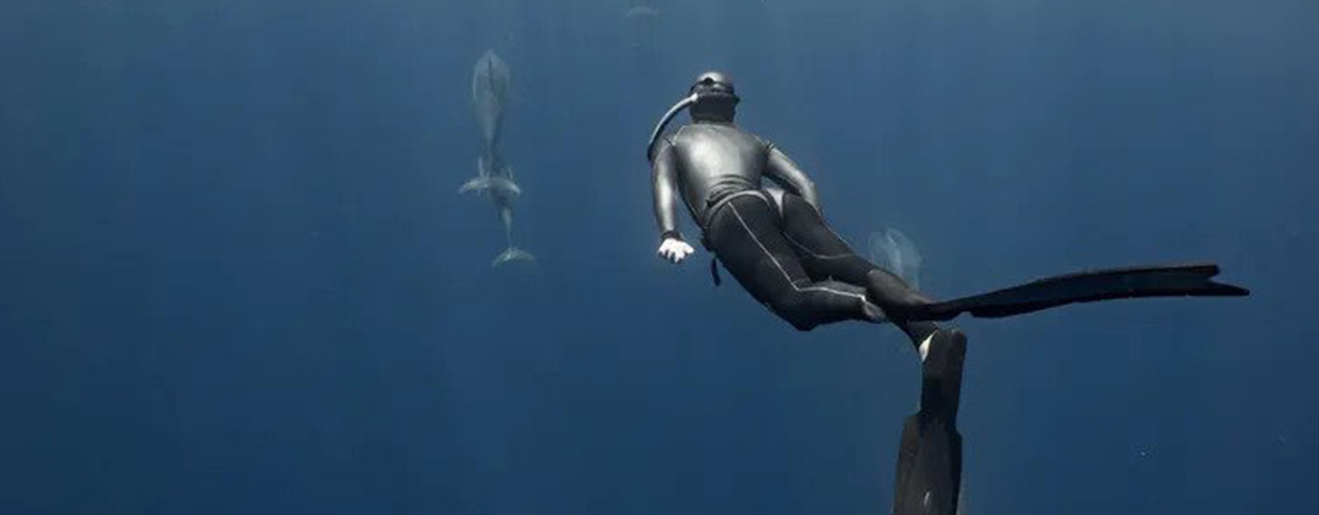 FREEDIVING WITH DOLPHINS IN HAWAII