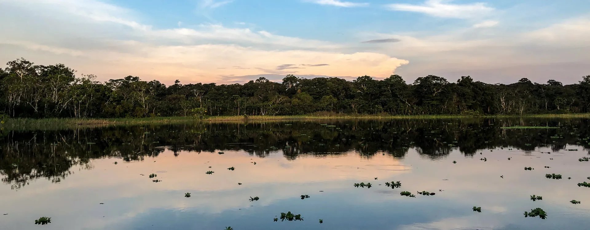 Delfin River cruise