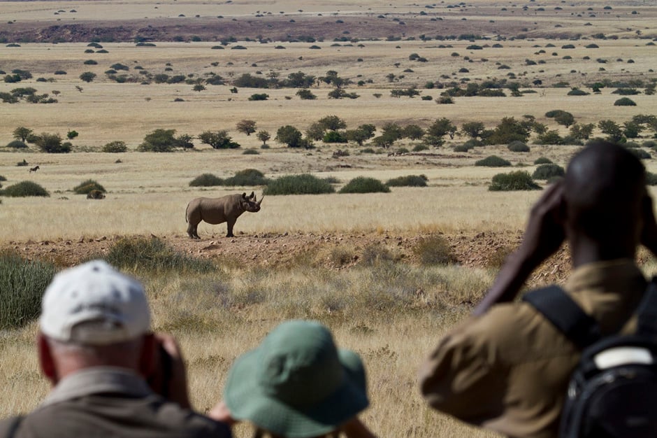 Desert Rhino Camp