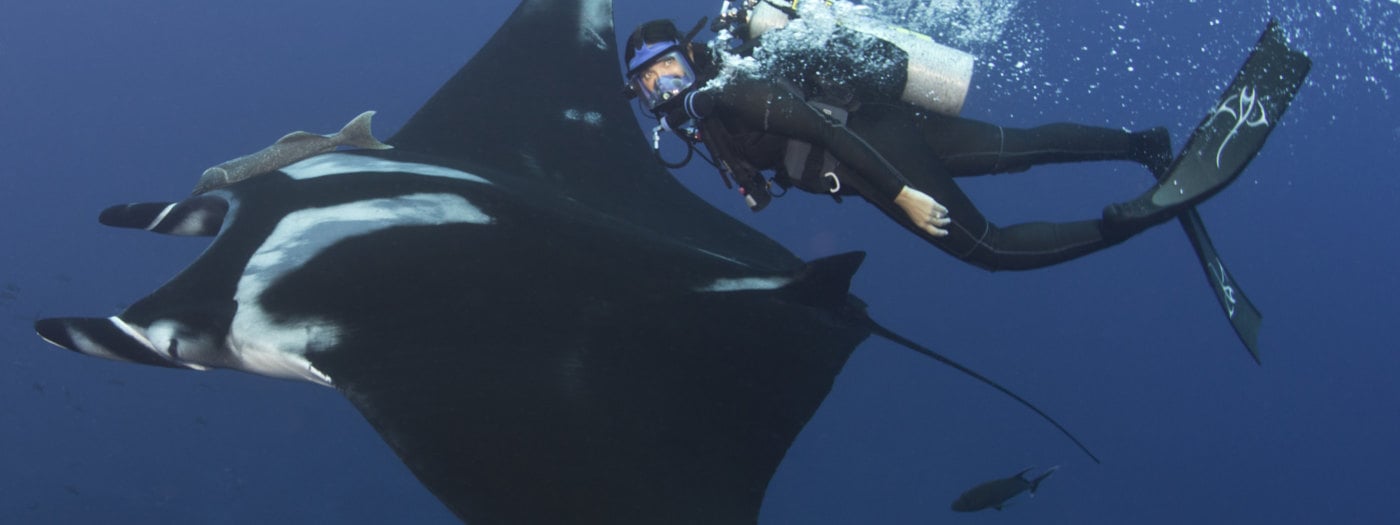 DIVING WITH MANTAS