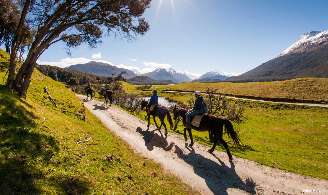 Lord of the Rings Horse-Riding Experience