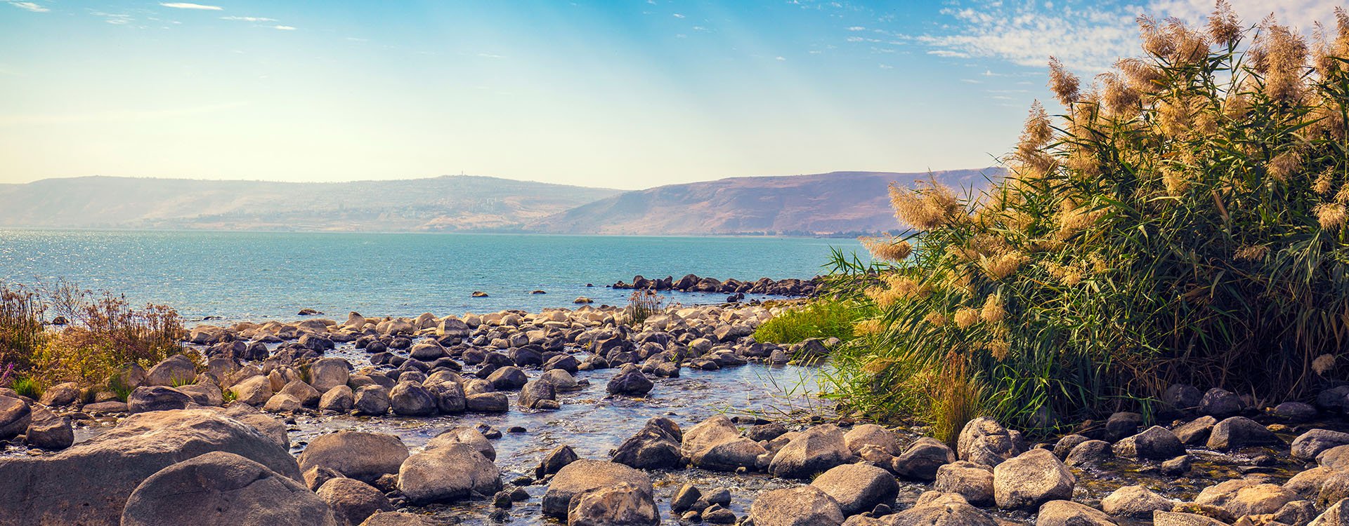 Seashore near Ein Eyov Waterfall in Tabgha, Sea of Galilee, Israel