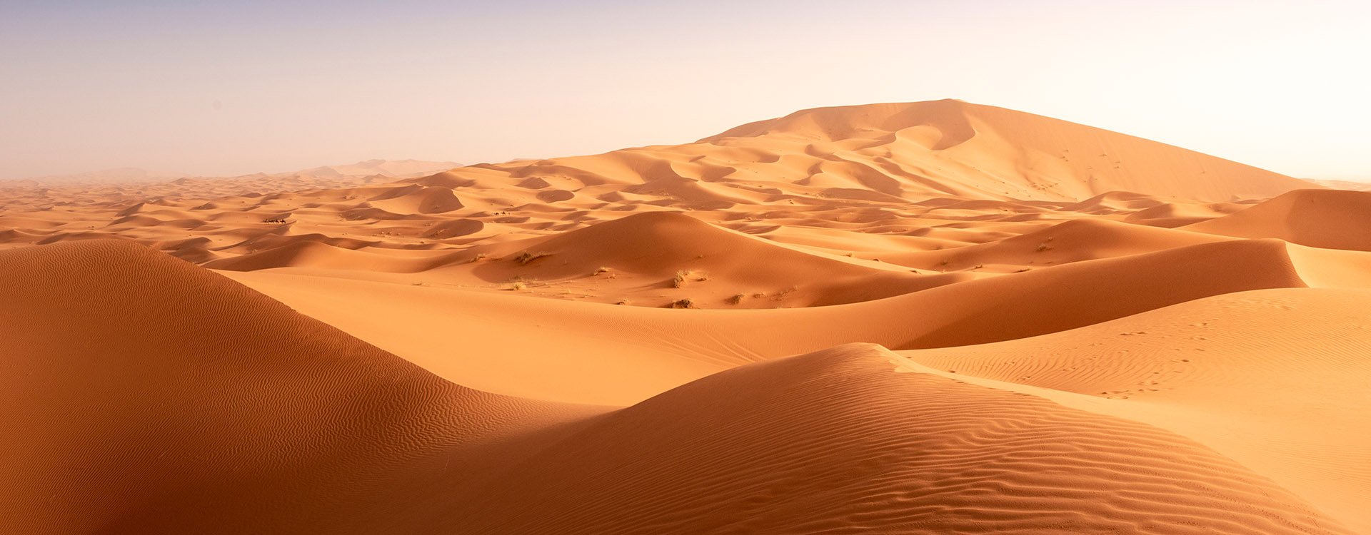 Beautiful sand dunes in the Sahara desert at Morocco
