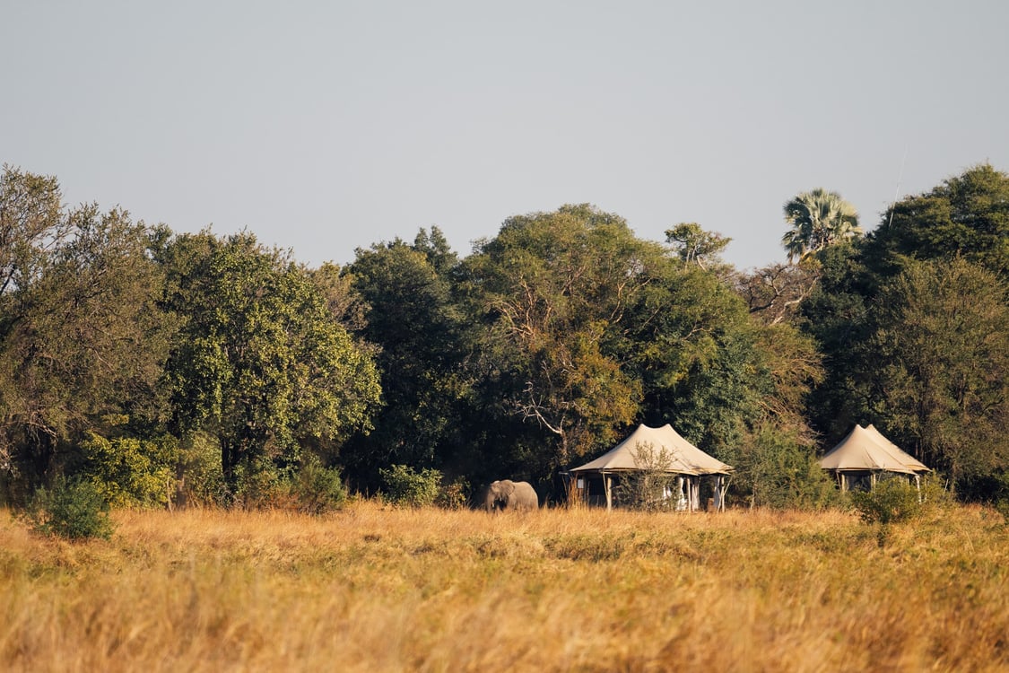 Kafue National Park