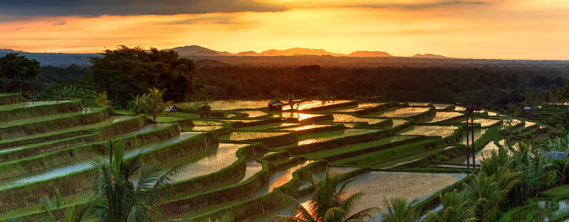 Jatiluwih Rice terraces on Bali during sunrise, Indonesia