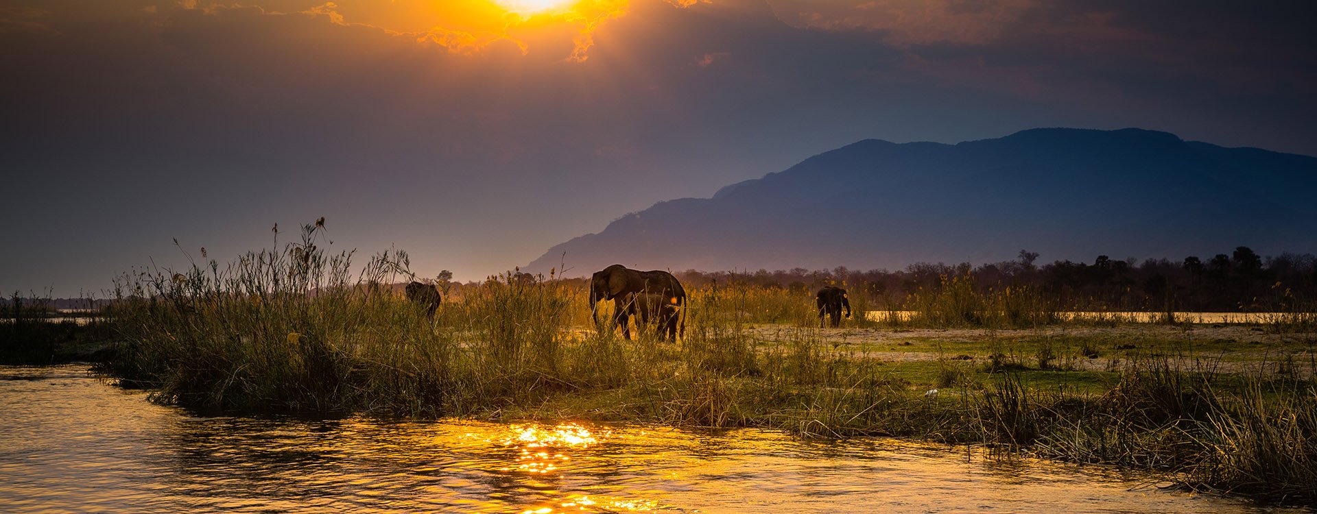 Lower Zambezi National Park. Zambezi River