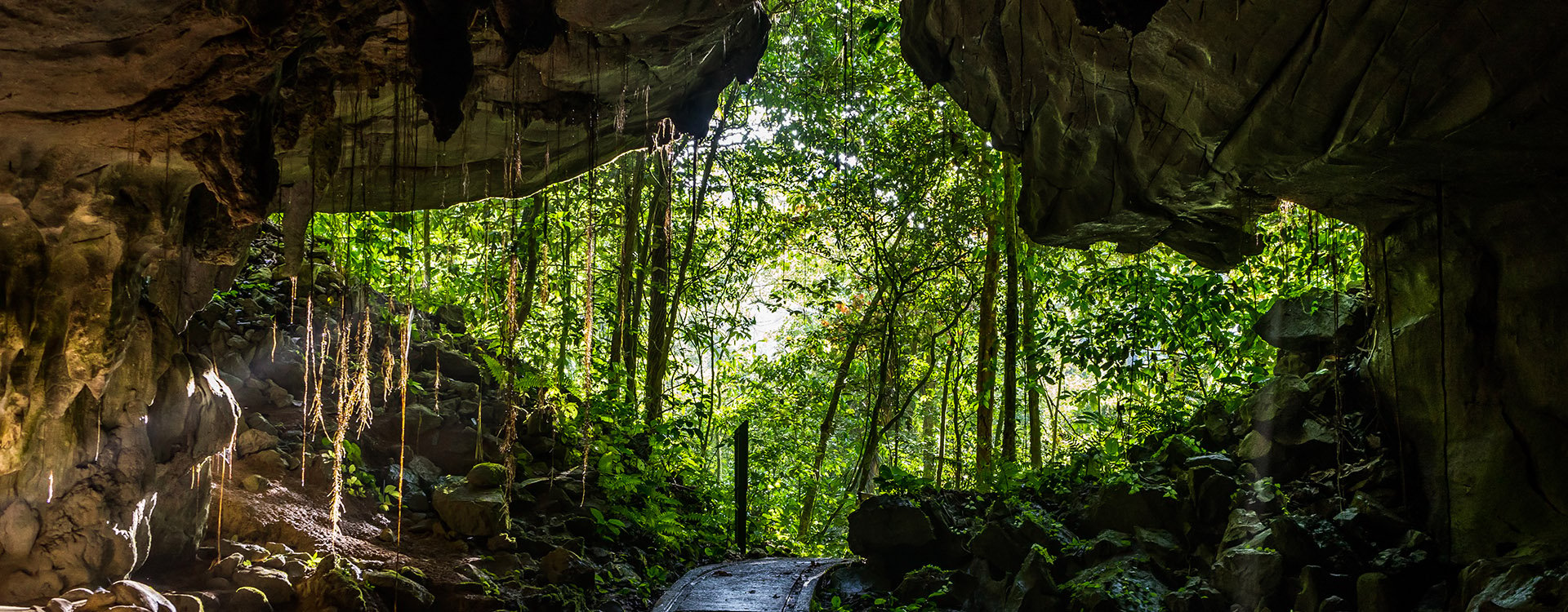 Diamond shaped cave entrance in Mulu National Park, Borneo, Malaysia