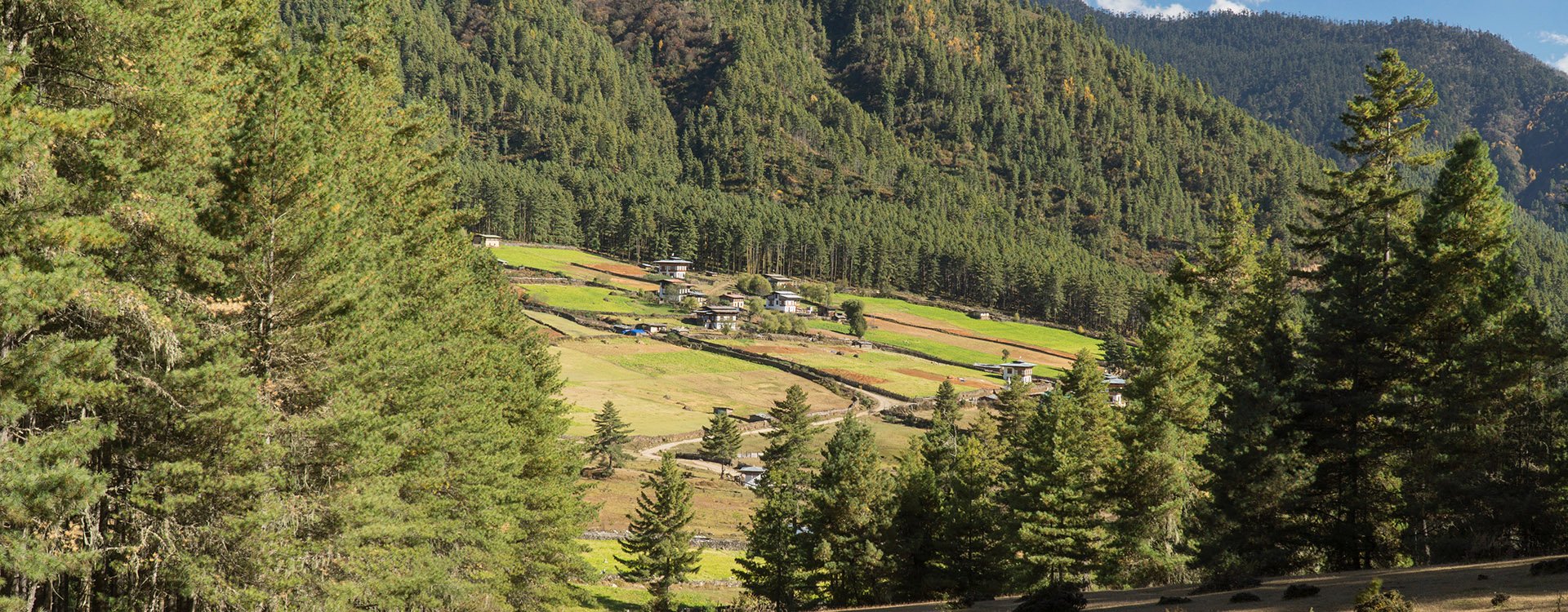 Phobjikha Valley. Kingdom of Bhutan. Asia