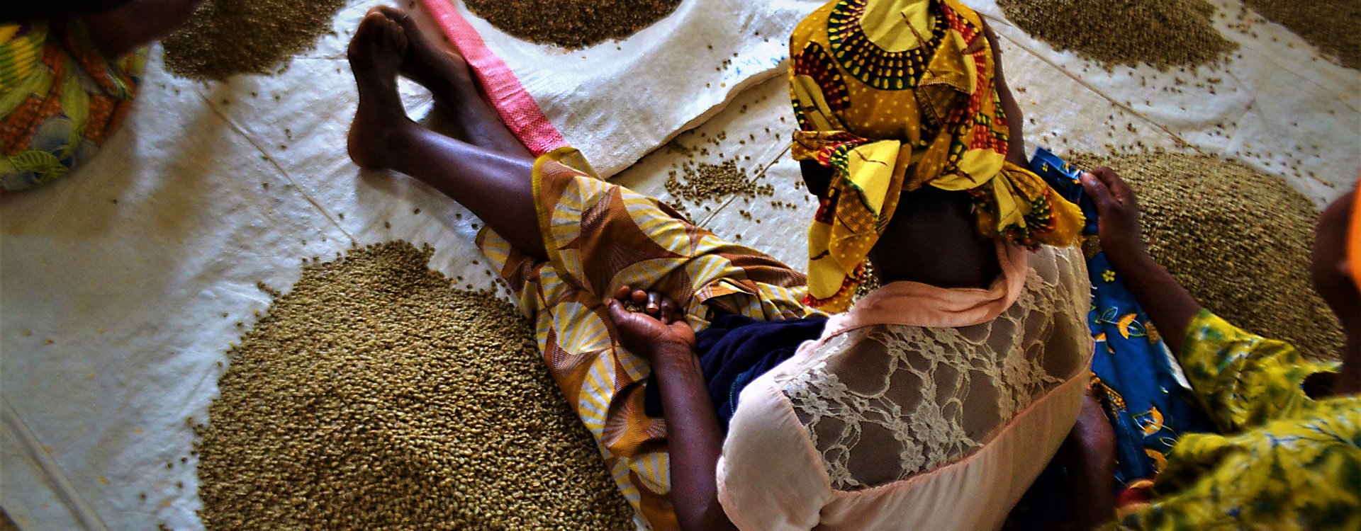 women picking beans, Rwanda