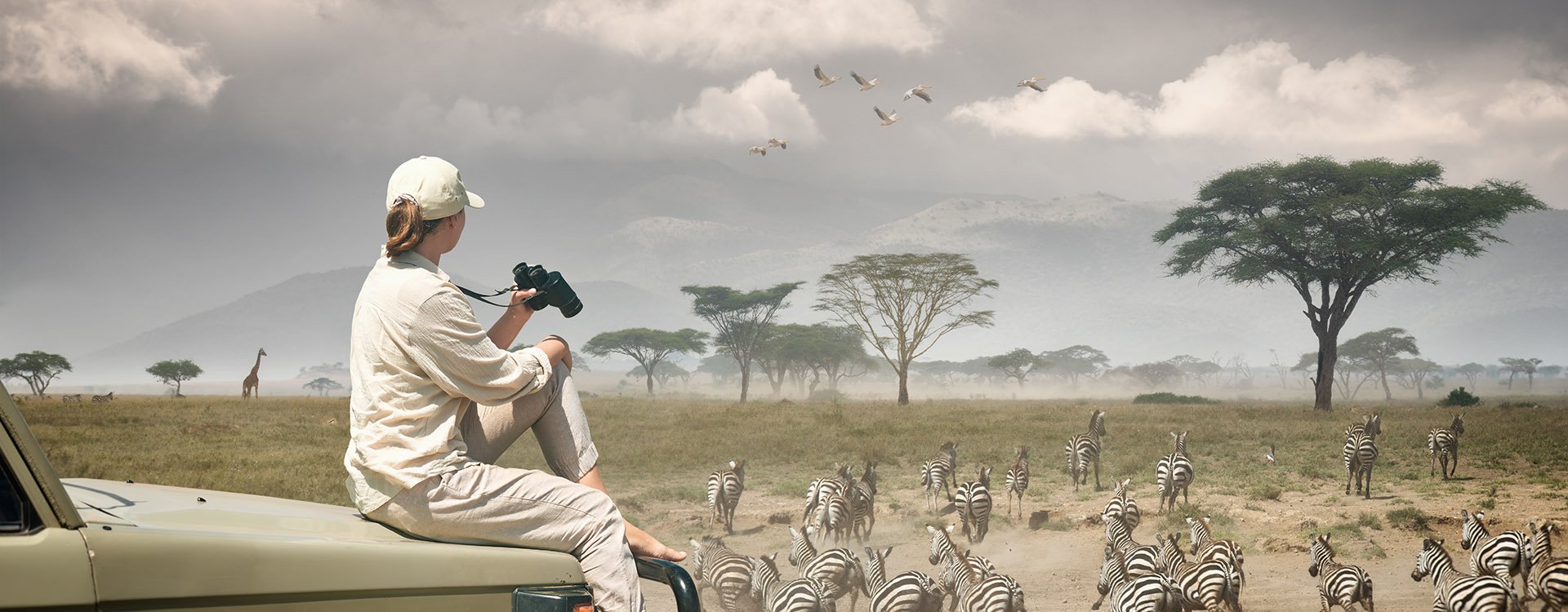 Adventure and wildlife exploration in Africa. Serengeti National Park.