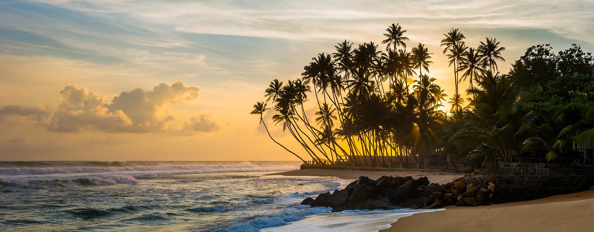 Beautiful tropical sunset with palm trees. Wijaya beach, Sri Lanka.