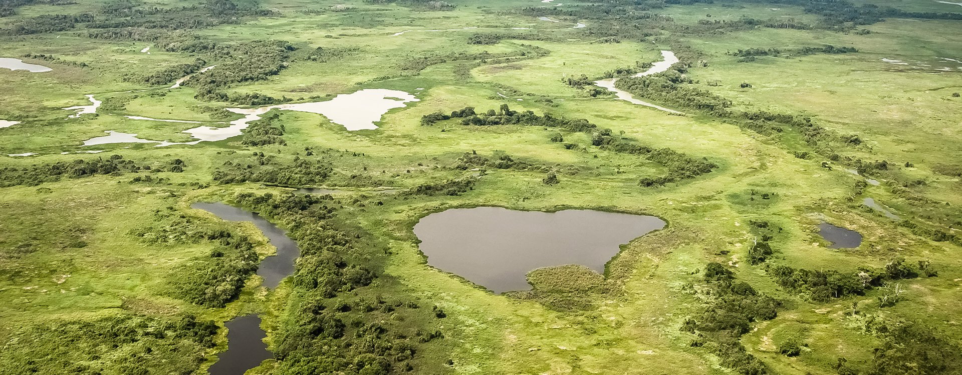 Aerial view of Pantanal wetlands, Pantanal, Brazil