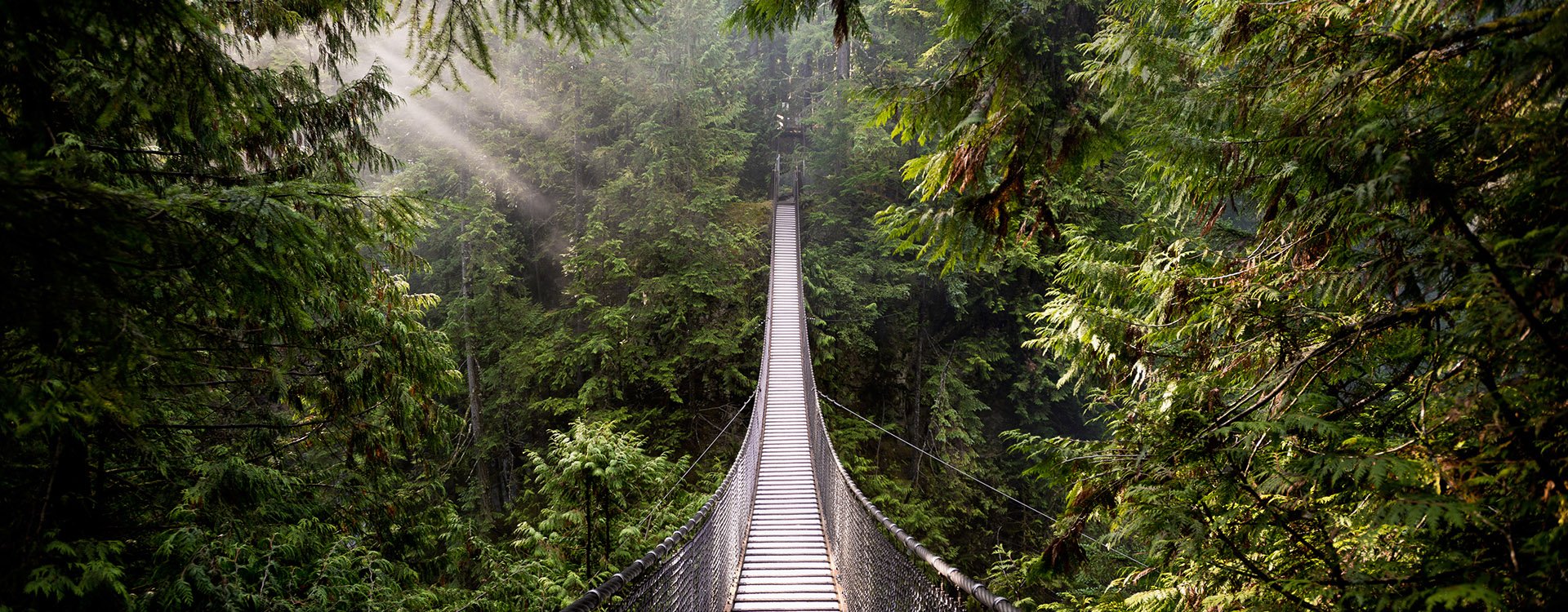 Suspension Bridge in North Vancouver, Canada