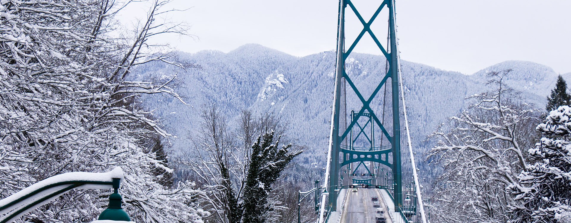 A View of Lions Gate Bridge covered in snow