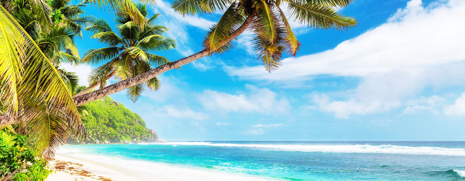 View from Cherry Tree Hill to tropical coast of caribbean island Barbados