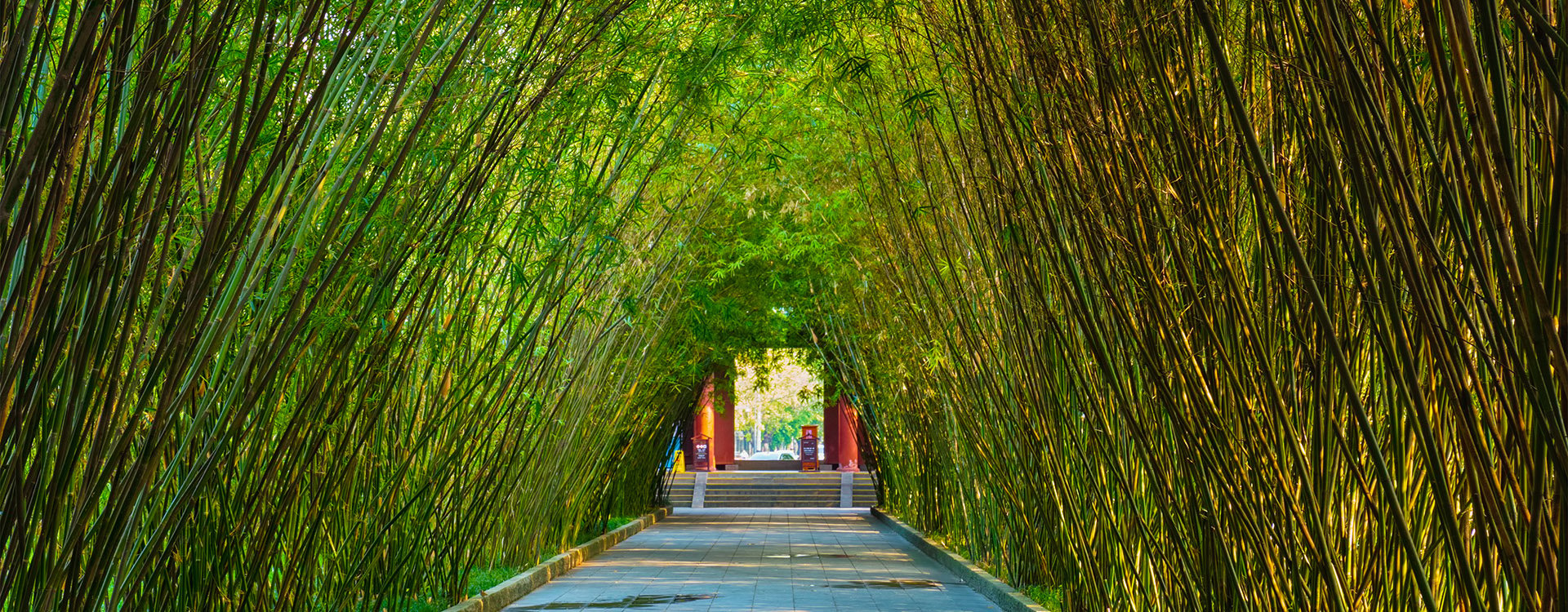China, Chengdu, bamboo forest, wangjiang Pavilion, wangjiang park, Sichuan Province