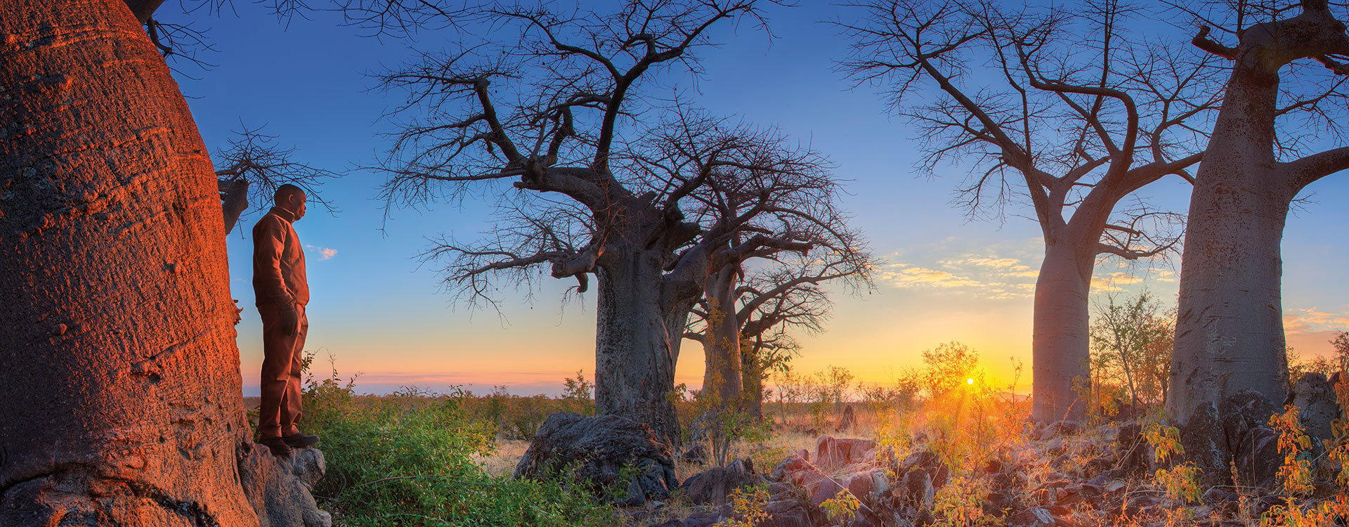 Chobe National Park_Sunset