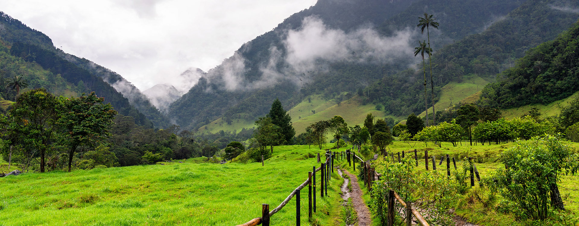 A view from the beginning of the hike towards Cocora Valley which is famous for its tall wax palm trees in Colombia