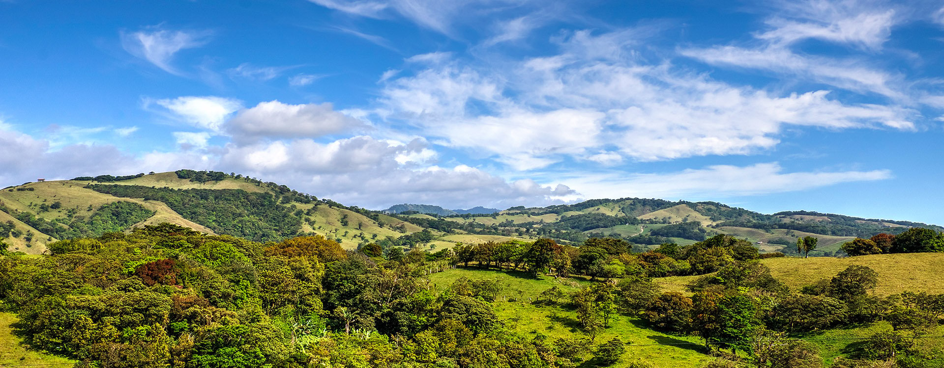 Perfect sunny day over the Monteverde hills and coffee plantations. Costa rica