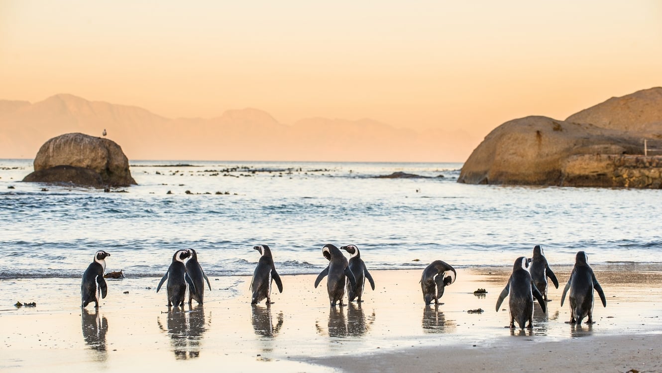 Holiday in Southern Africa by Lightfoot Travel