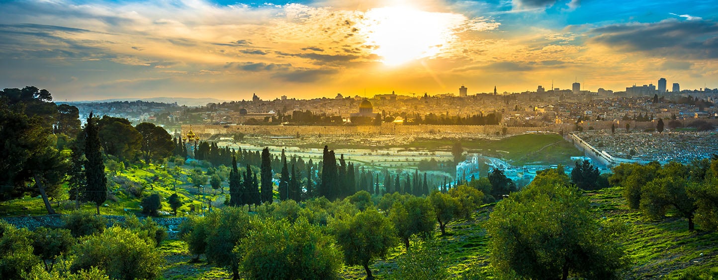 View of the Old City Jerusalem from the Mount of Olives with olive trees in the foreground