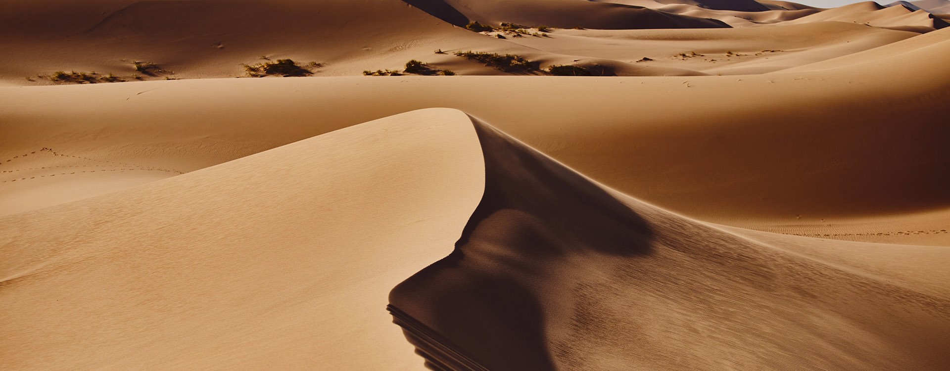 Sands Hongoryn Els in the Gobi Desert, Mongolia