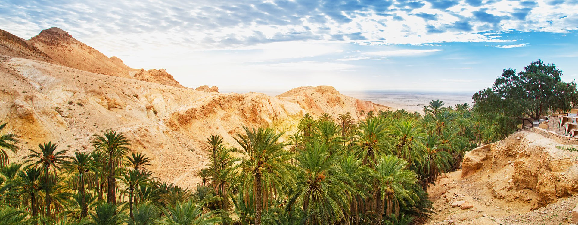 Scenic view of mountain oasis Chebika. Sahara Desert, Tunisia, Africa
