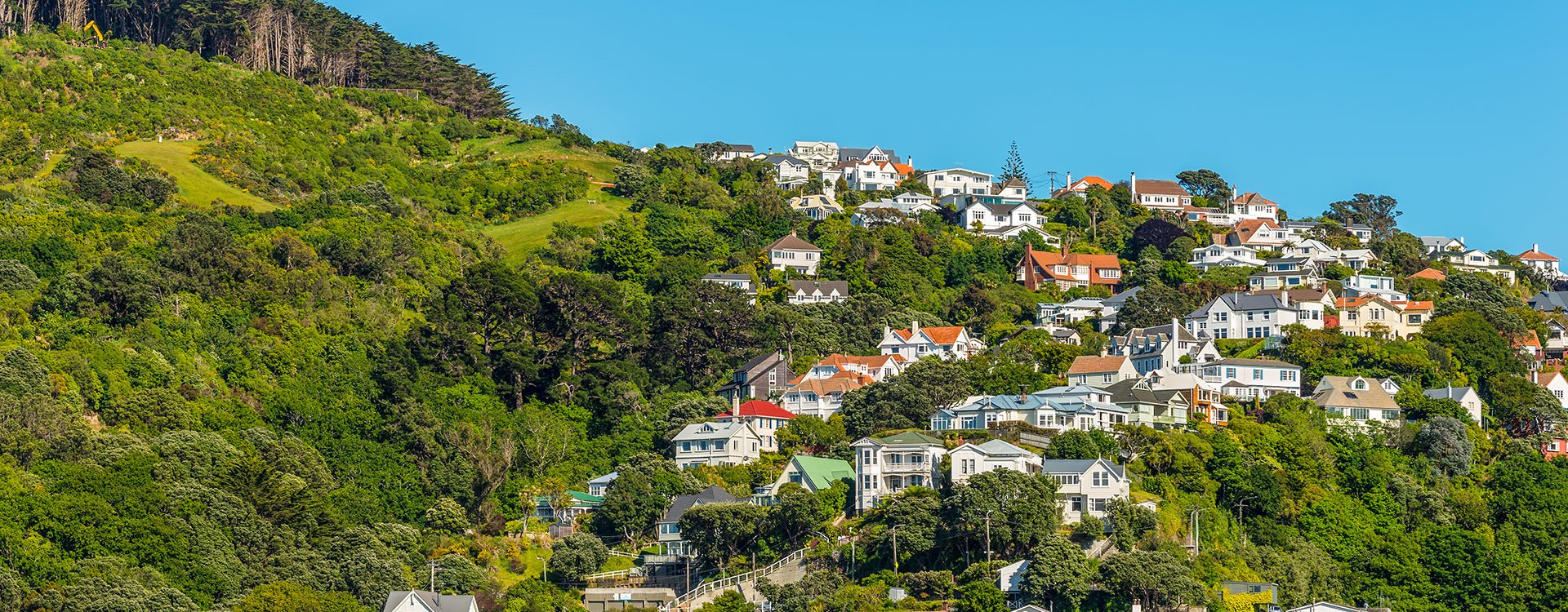 Colorful houses in Wellington, New Zealand. Wellington is the capital city, New Zealand