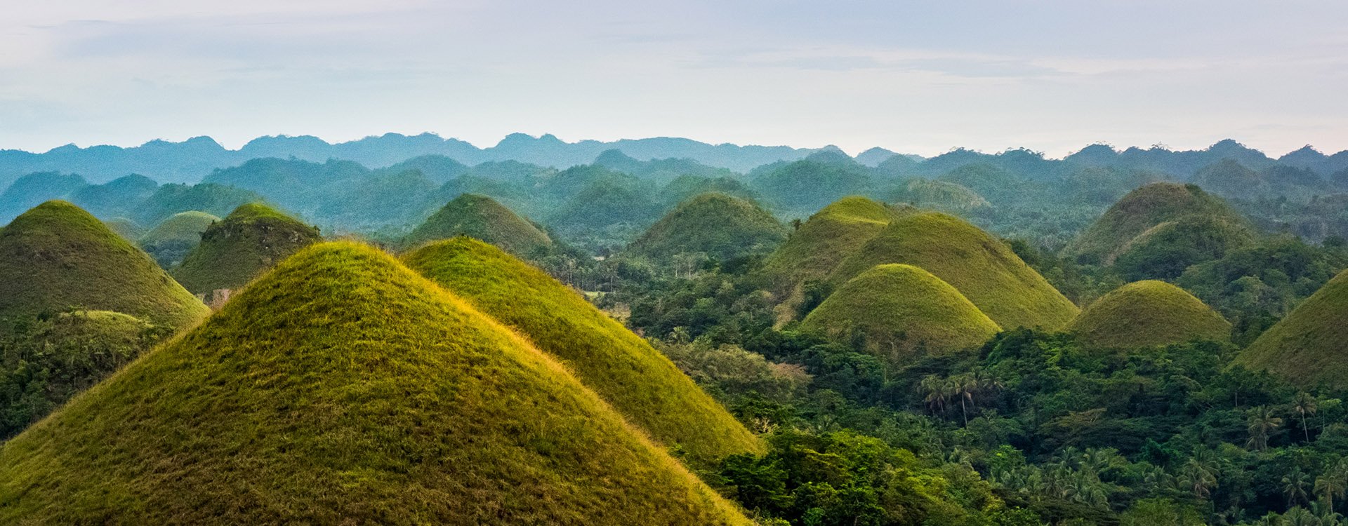 Chocolate hills, A geological formation in the Bohol province of the Philippines