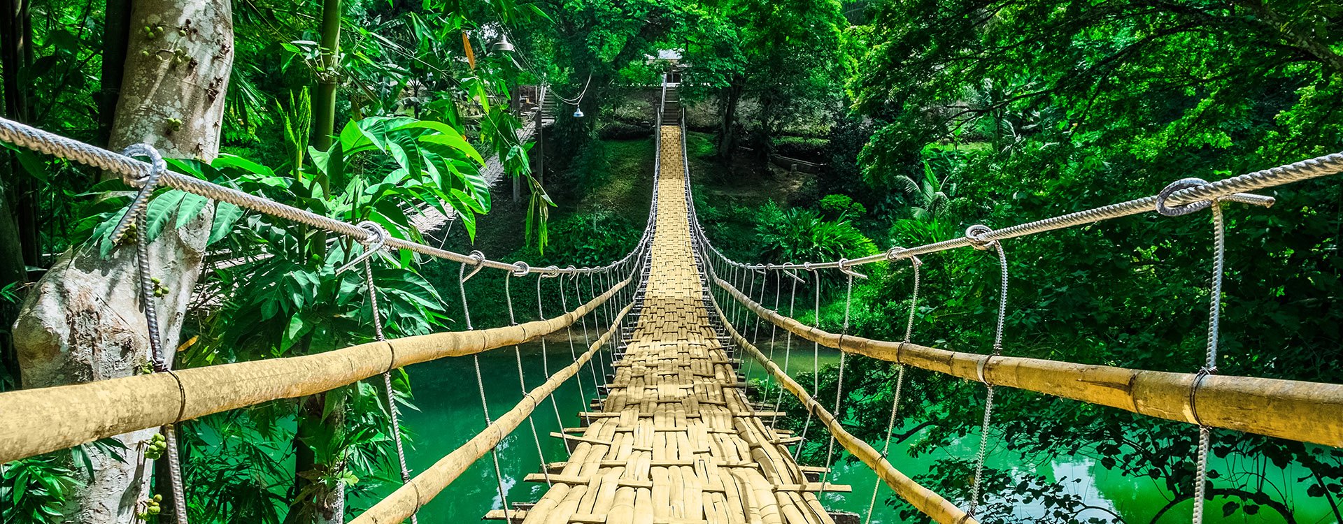Bamboo pedestrian hanging bridge over river in tropical forest, Bohol, Philippines
