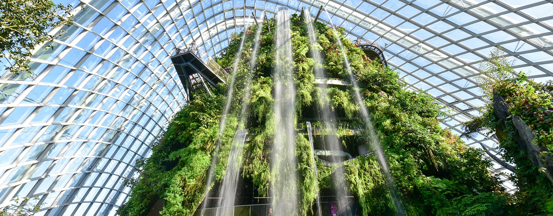 Inside of the Cloud Forest Dome with man made waterfall, Gardens by the Bay, Singapore