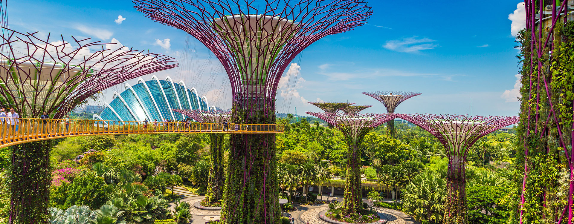 The Supertree Grove at Gardens by the Bay in Singapore near Marina Bay Sands hotel